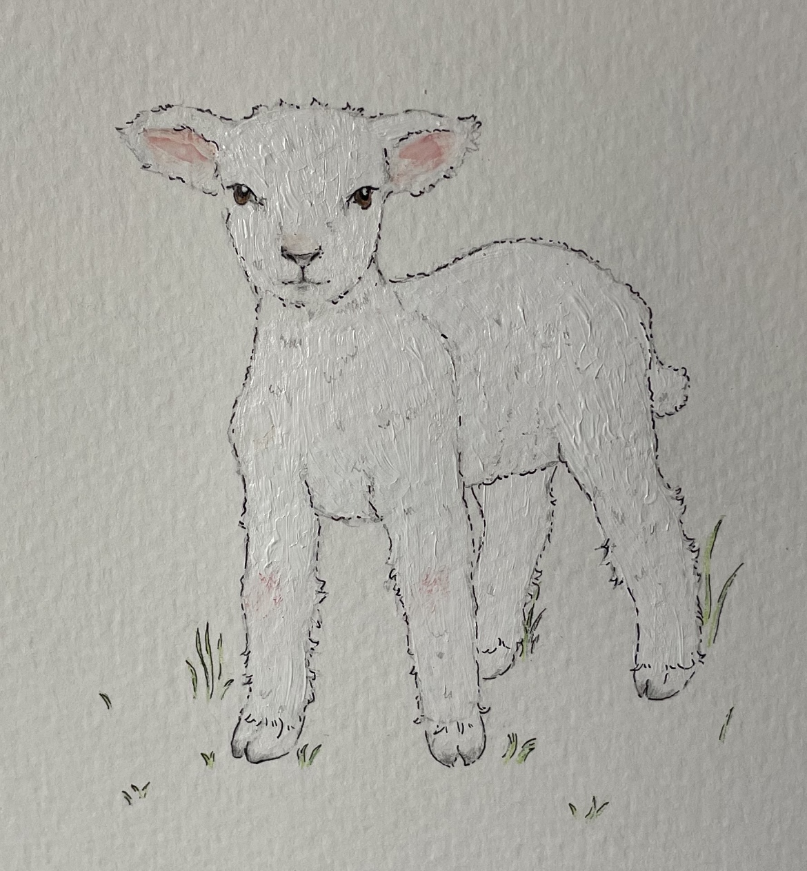 lamb 1<br />
